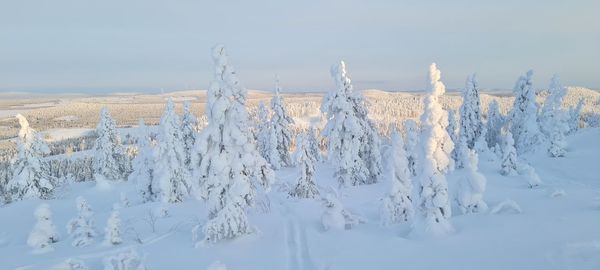 Panoramic view of snow covered field against sky
