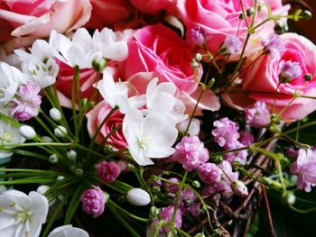 High angle view of pink flowering plants