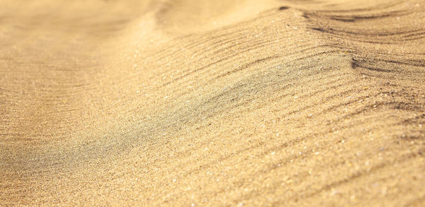 The yellow sand closeup as texture.selective focus