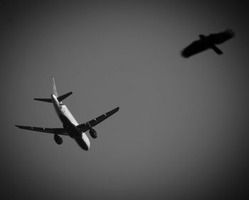 Low angle view of airplane flying in sky