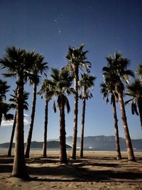 Low angle view of palm tree against sky