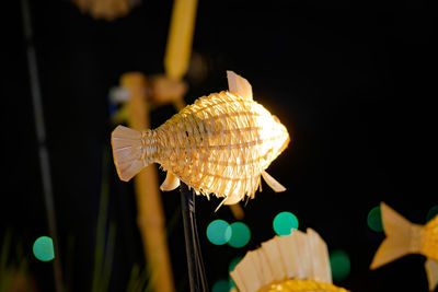 Close-up of yellow leaf in the sea