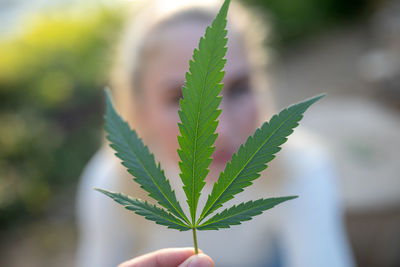 Close-up of woman holding marijuana