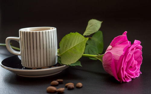 Close-up of pink roses on table against black background