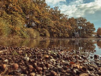 Scenic view of lake against sky during autumn