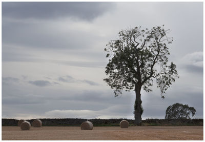 View of hay bales on field against sky