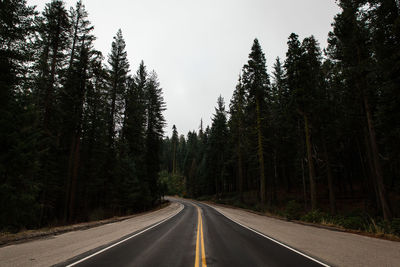 Road passing through trees