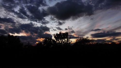 Silhouette trees against sky during sunset