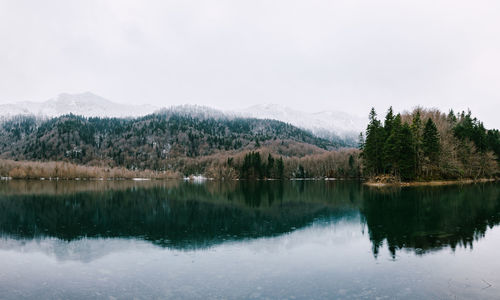 Scenic view of lake by trees against sky