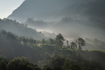 Scenic view of trees and mountains against sky