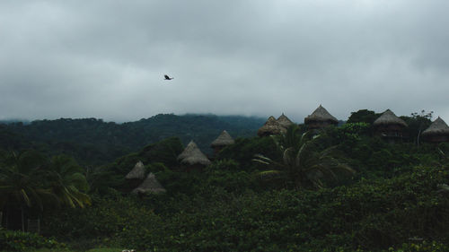 Huts in forest against cloudy sky