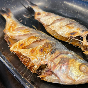 Close-up of fish for sale