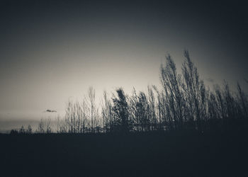 Silhouette trees against sky