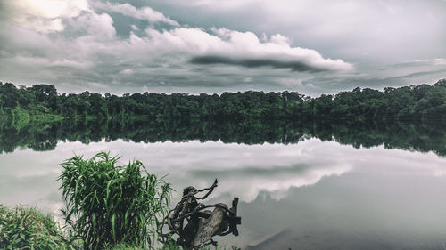 Scenic view of lake by trees against sky