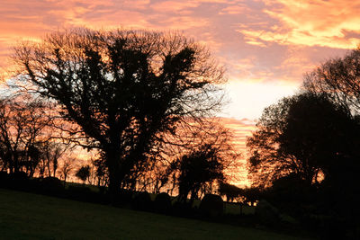 Silhouette trees on field against sky during sunset