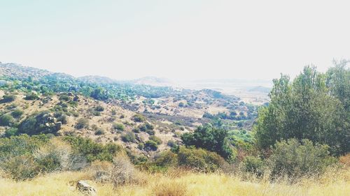 Scenic view of landscape against clear sky