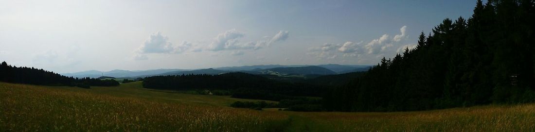 Scenic view of landscape against sky