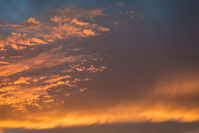 Low angle view of cloudy sky