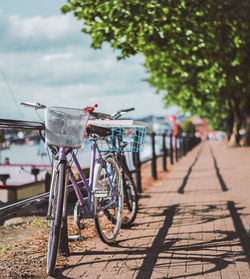 Bicycles parked by railing against sky