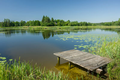 Pier with planks on the lake, trees on the horizon and blue sky. dubienka, poland