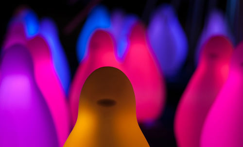 Close-up of bowling pins in alley