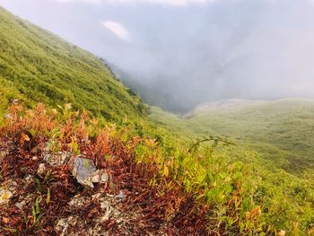 Scenic view of field and mountains against sky