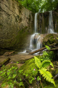 Scenic view of waterfall in forest