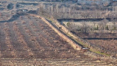 High angle view of agricultural field