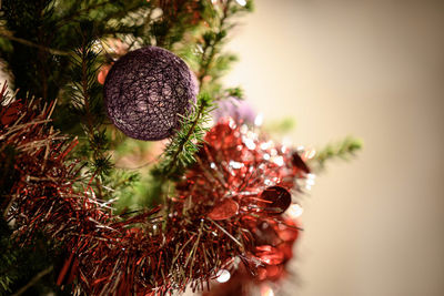 Close-up of christmas tree