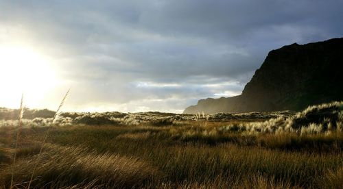 Scenic view of landscape against cloudy sky