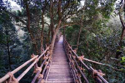 Wooden footbridge amidst trees in forest