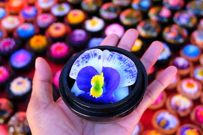 Cropped hand holding flower