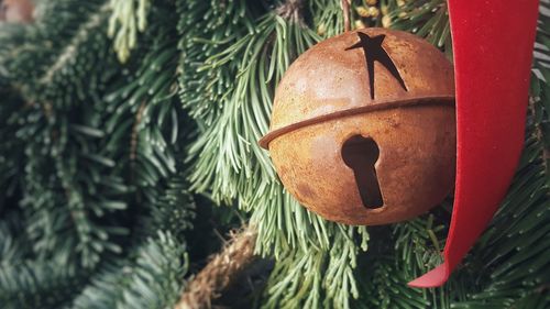 Close-up of christmas decoration on tree