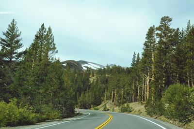 Road passing through trees