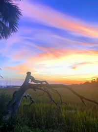 Scenic view of land against sky during sunset