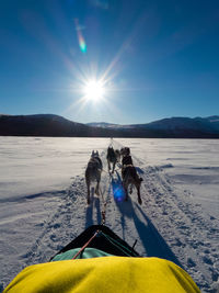 Sledding on snow covered landscape against sky