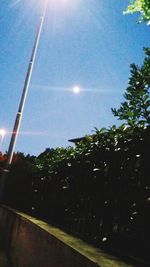 Trees against vapor trail in sky