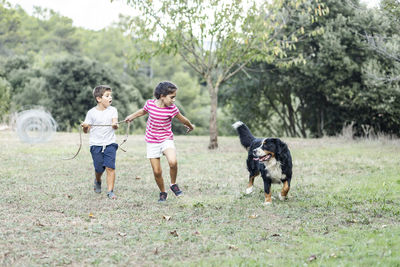 Kids playing with a dog