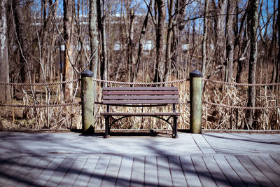 Empty benches against bare trees against sky