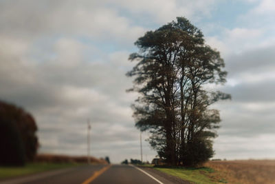 Road amidst trees on field against sky