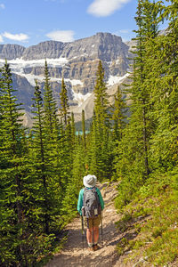 Rear view of woman walking in forest