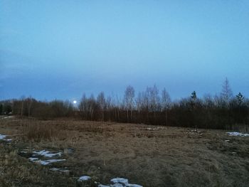 Trees on landscape against clear blue sky