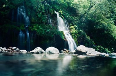 Scenic view of waterfall in forest