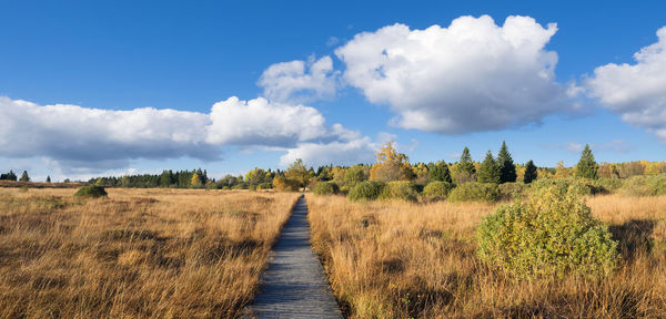 Panoramic view of agricultural field against sky