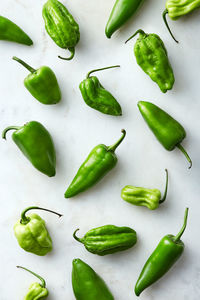High angle view of vegetables on table
