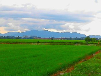 Scenic view of grassy field against cloudy sky