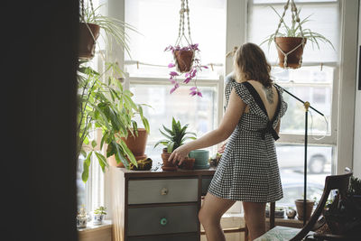 Young woman in dress repots her plants at a desk