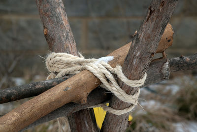 Close-up of rope tied on wood