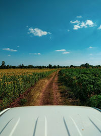 Scenic view of road amidst field against sky