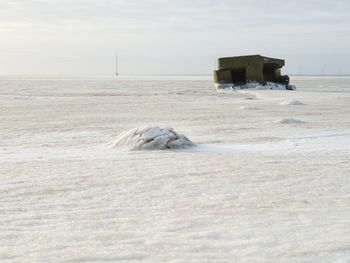 View of an animal on snow covered land